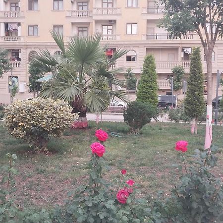 Banu House Lägenhet Sumqayıt Exteriör bild